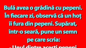 BANC | Bulă avea o grădină cu pepeni