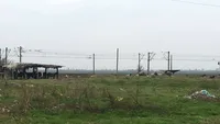 FOTO. Nu e banc! Scutul antirachetă de la Deveselu, pus în pericol de... oile unui fermier din Caracal. Animalele ar activa senzorii de la baza militară