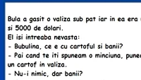 BANC | Bulă a găsit o valiză sub pat și în ea erau 5.000 de dolari și un cartof