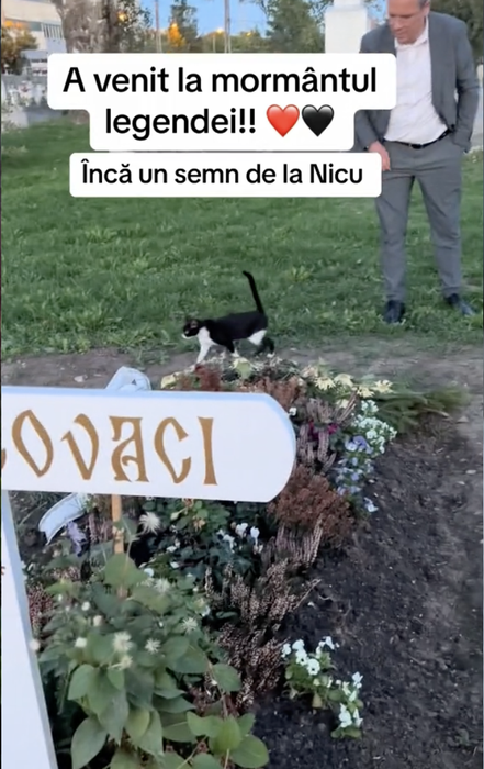 Cum arată mormântul lui Nicu Covaci, la 2 luni de la moartea sa. Ce a apărut lângă cruce: „Tu, dar cum ai venit…”
