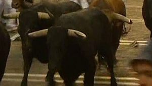 Un barbat a fost omorat de un taur, in Spania