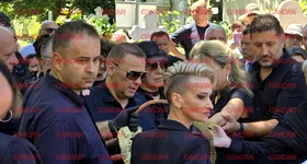 Galerie foto - poza 3