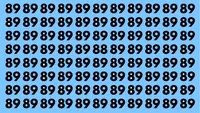 Test de inteligență | Nu toate numerele din imagine sunt 89. Găsește-l pe cei diferit!