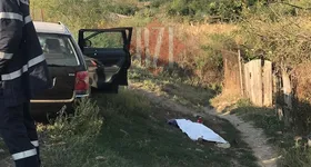 Galerie foto - poza 4