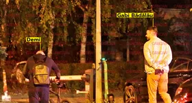 Galerie foto - poza 4