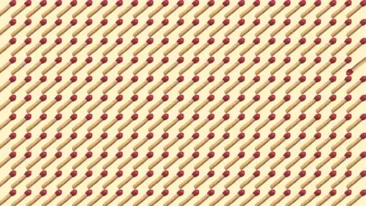 Test IQ pentru genii | Doar cei cu o minte sclipitoare descoperă bățul de chibrit diferit din imagine