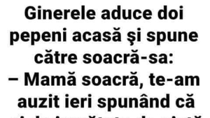 Bancul începutului de săptămână | "Mamă soacră, te-am auzit ieri spunând că..."