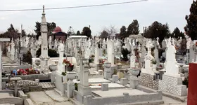 Galerie foto - poza 3