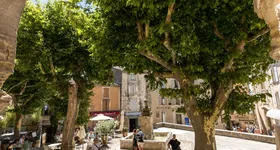 Galerie foto - poza 3