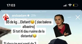 Galerie foto - poza 3