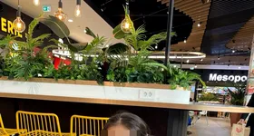 Galerie foto - poza 4