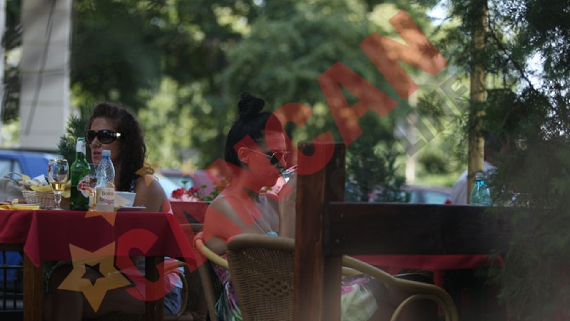 Lavinia hraneste animalele pe sub masa in restaurant