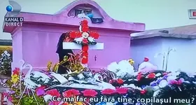 Galerie foto - poza 2