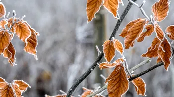 Prognoza meteo pentru joi, 18 decembrie 2025. Frigul pune stăpânire pe România