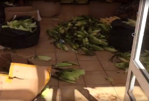 După ce vei vedea asta, nu vei mai mânca niciodată! Cum e pregătit, de fapt, porumbul fiert vândut pe plajele de lux din Mamaia