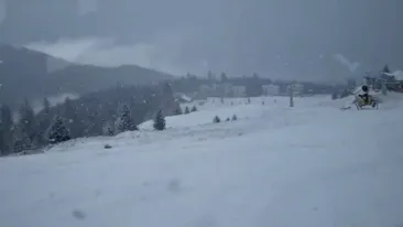 Ninsoare ca în povești în România! Stratul de zăpadă depus atinge câțiva centimetri