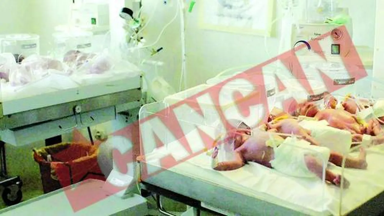 A nascut sapte copii