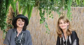 Galerie foto - poza 2