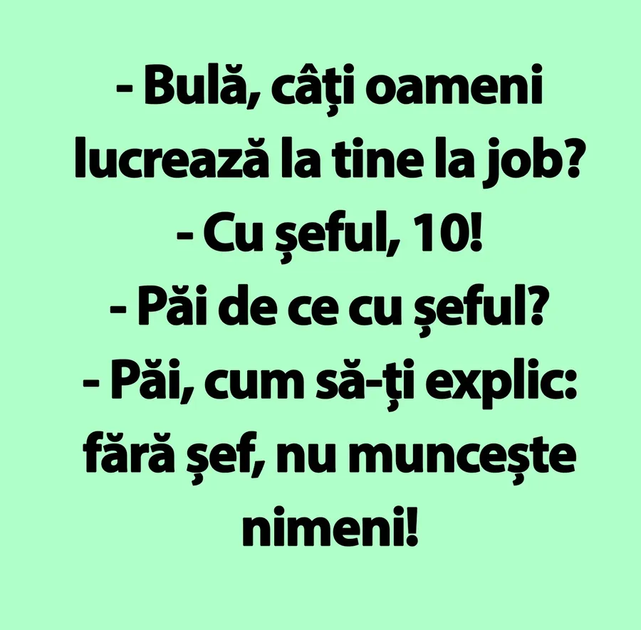 BANC | "Bulă, câți oameni lucrează la tine la job?"