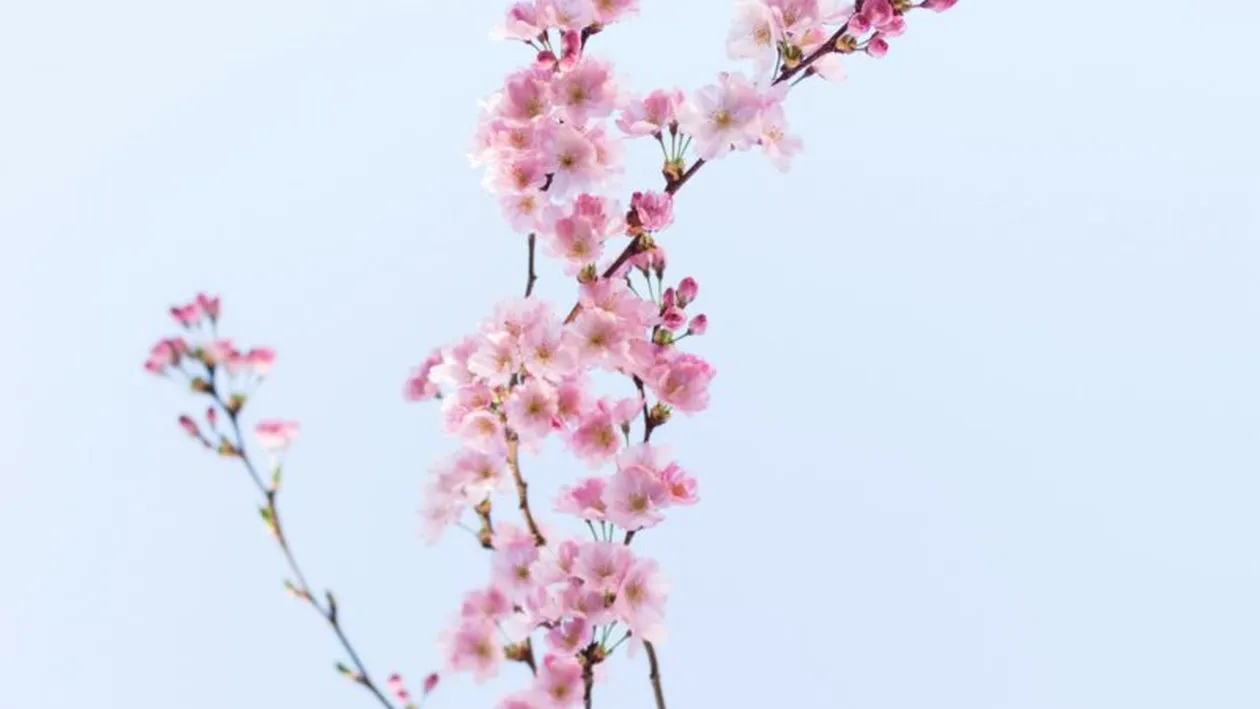 Ce se întâmplă pe 20 martie, la ora 16:46? Cum vom fi afectați cu toții de această schimbare