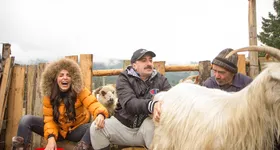 Galerie foto - poza 3