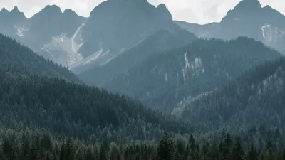 „Range Rover-ul de pe Temu”, SUV-ul care l-a scos din sărite pe un britanic. „S-au aprins 20 de martori și s-a oprit brusc. Trebuie retrasă de pe piață”