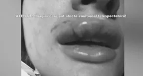 Galerie foto - poza 2