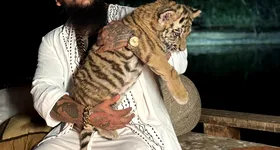 Galerie foto - poza 3