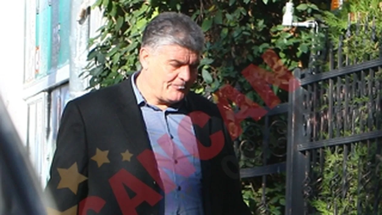 Falcosul mesteca si scuipa