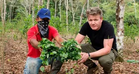 Galerie foto - poza 2