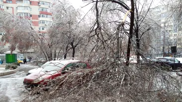 Șase copaci căzuți din cauza furtunii în Capitală, trei mașini avariate. Doi pietoni au fost răniți