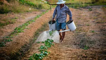 Muncitorii din Nepal sau India vin în România pentru salariile care li se oferă. „Banii aici sunt de două ori mai mulți decât acasă”