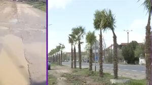 Fără asfalt, dar cu palmieri. Locurile exotice l-au convins pe un primar din Mehedinți să ia o decizie total neinspirată