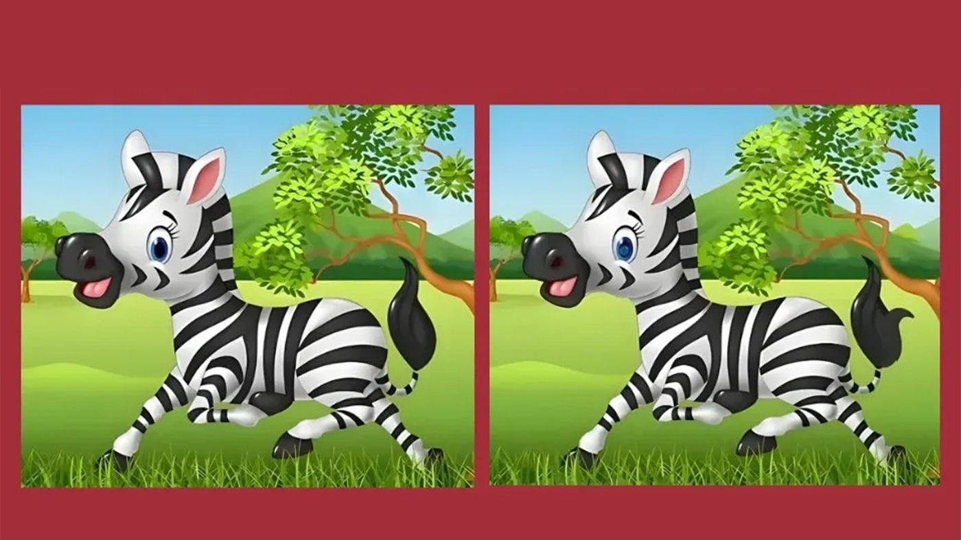 Test de perspicacitate | Identificați toate diferențele dintre aceste două zebre. Câte ați găsit?