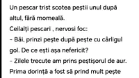 Bancul de weekend | Pescarul trist și peștișorul de aur