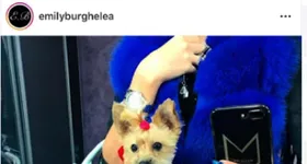 Galerie foto - poza 1