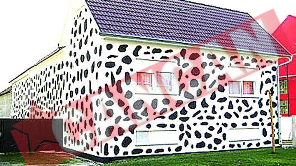 Si-au vopsit casa ca un dalmatian