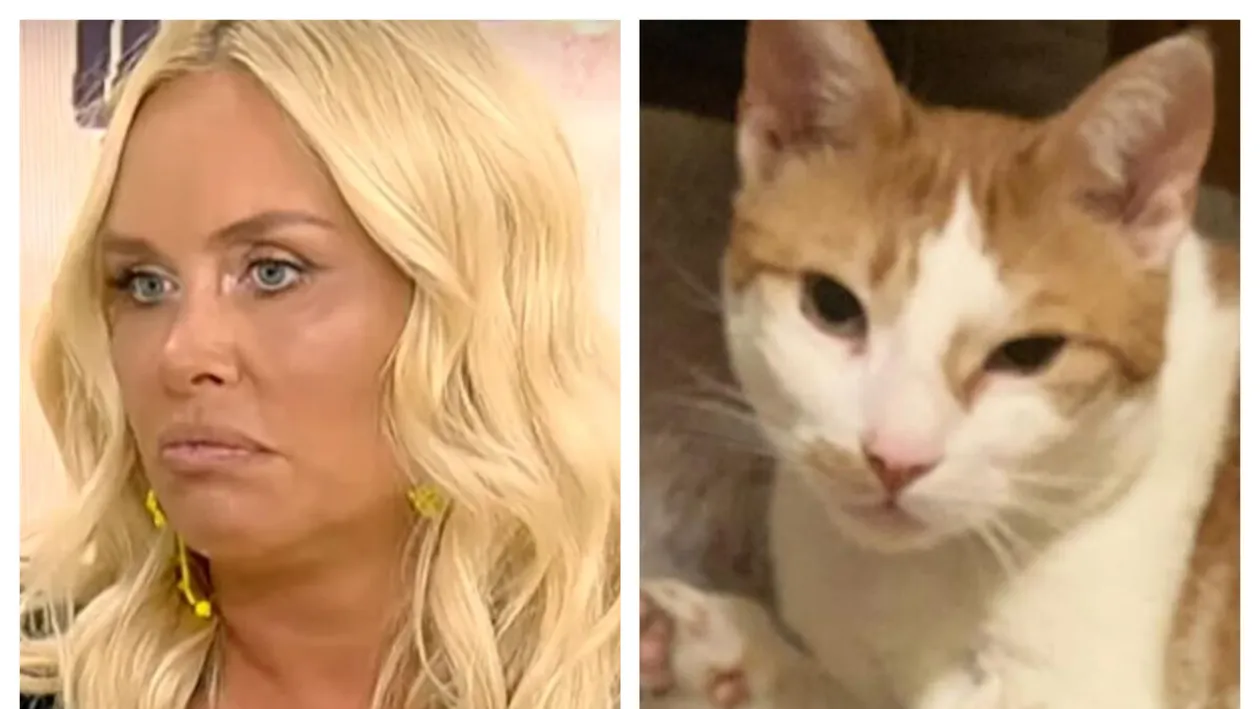 Vica Blochina, în pragul disperării! Motanul vedetei a dispărut fără urmă: ”Ofer recompensă”