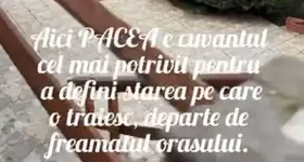 Galerie foto - poza 3