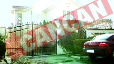 In Bragadiru a aparut strada Adrian Paunescu