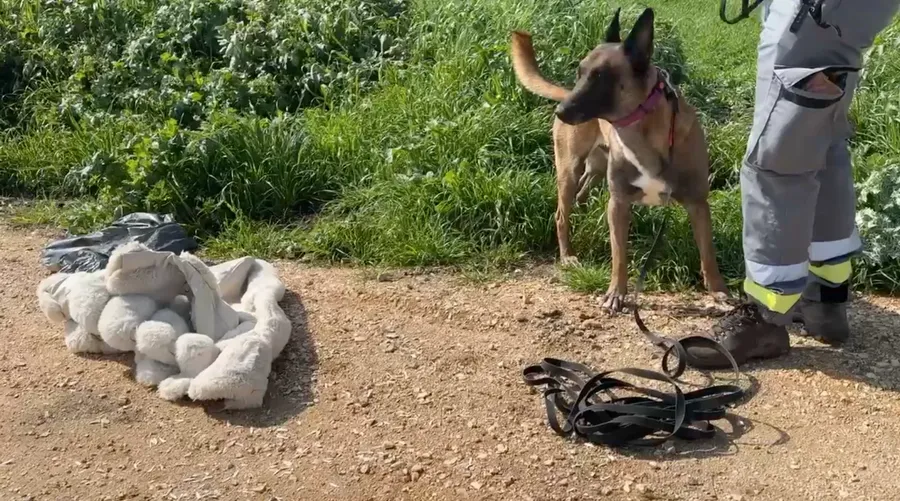 Haina Elenei a fost găsită sub pod SURSA:Stato Quotidiano