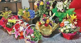 Galerie foto - poza 1