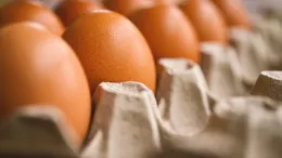Alertă sanitară înainte de Paște! 1,5 milioane de ouă contaminate cu Salmonella descoperite în România