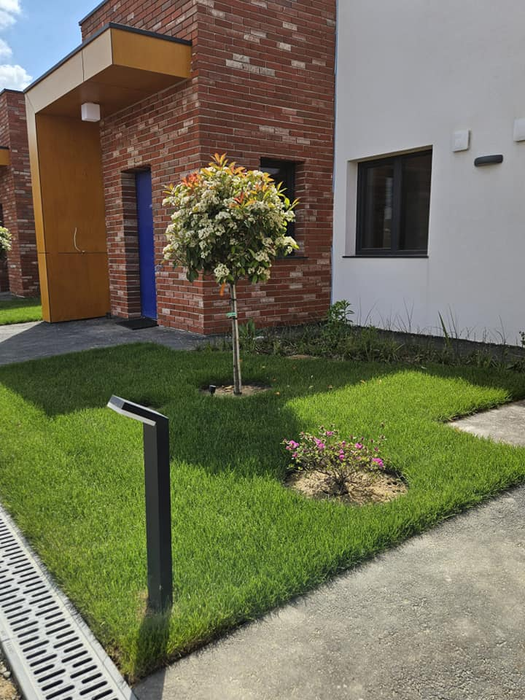 Cum arată centrul construit Mihai Neşu? Întregul complexul a fost gata în 3 ani. FOTO