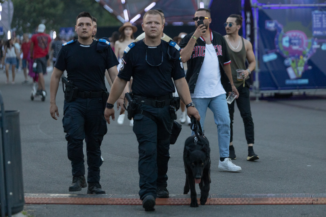 Nici câinii jandarmilor nu au reușit să îi țină în frâu pe unii dintre tinerii care s-au "dezlănțuit" (Foto: CANCAN.RO)