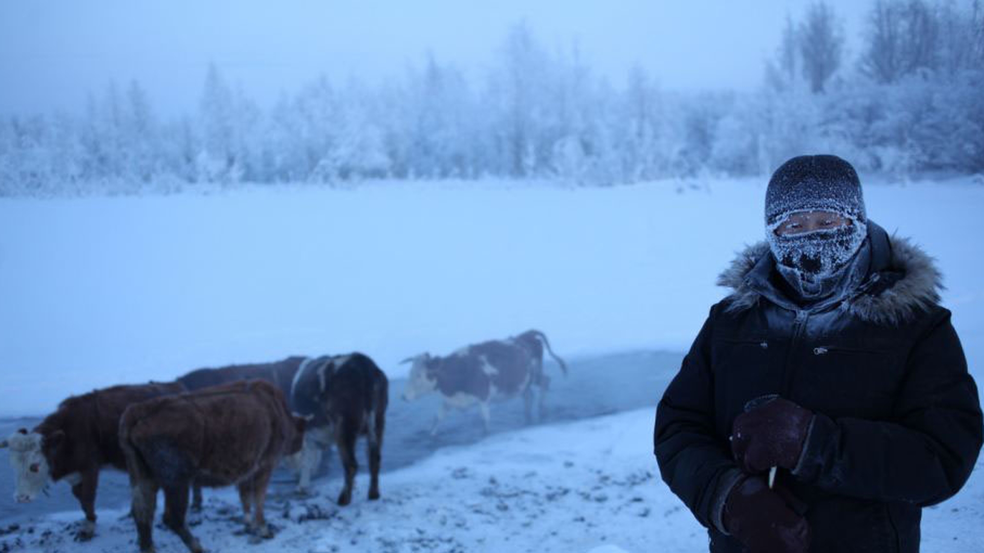 Crezi ca stii ce este frigul? Vezi care este cel mai inghetat loc din lume si cum rezista locuitorii de acolo la minus 50 grade