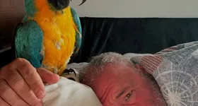 Galerie foto - poza 4