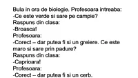 BANC | Bulă, la ora de biologie: Ce este verde și sare pe câmpie?
