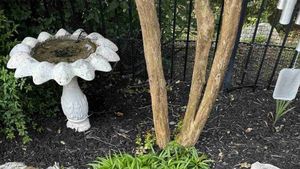 Iluzie optică virală | Ai un IQ peste 140 dacă poți găsi șarpele ascuns în această grădină