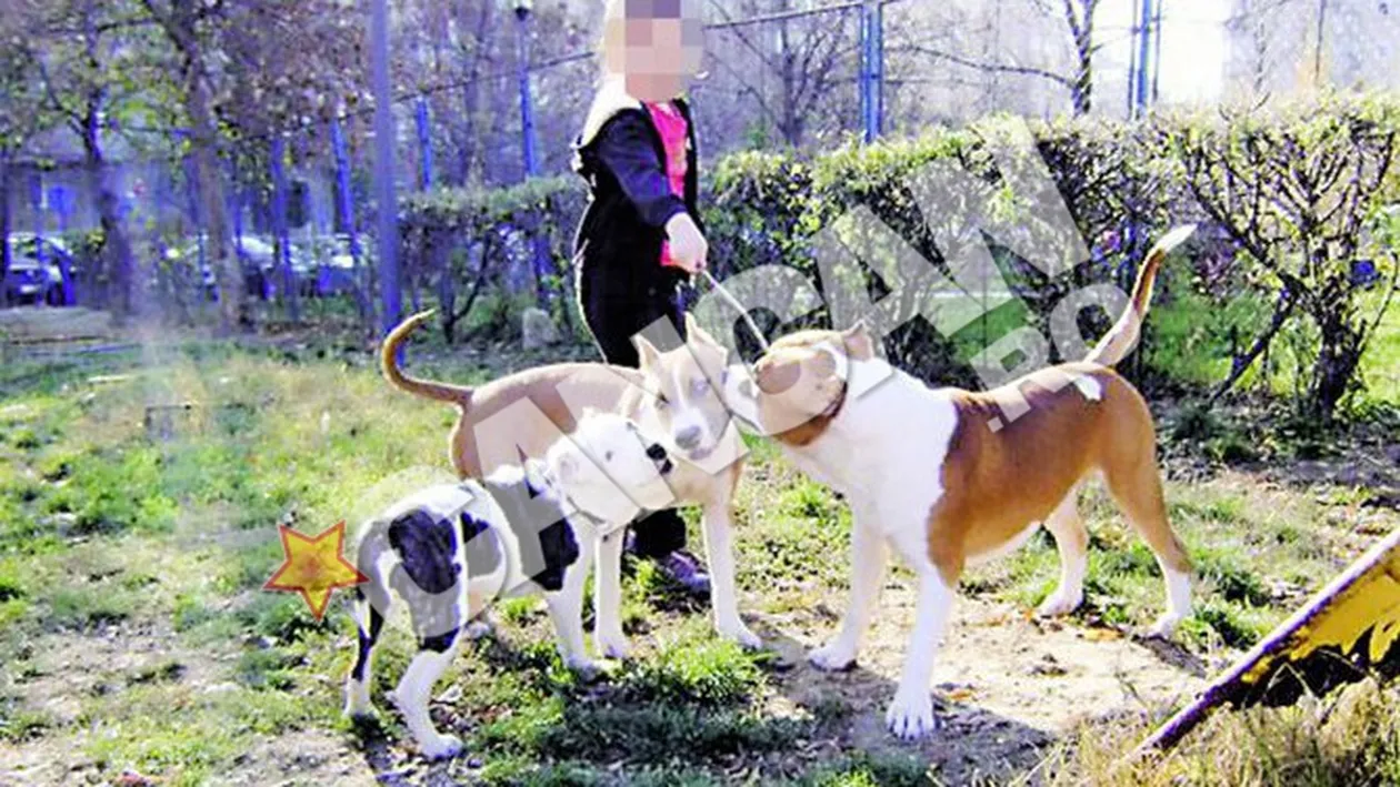 Bodyguardul lui Vladan Jr., specialist in arme albe si animale periculoase! Antreneaza caini ucigasi printre copii